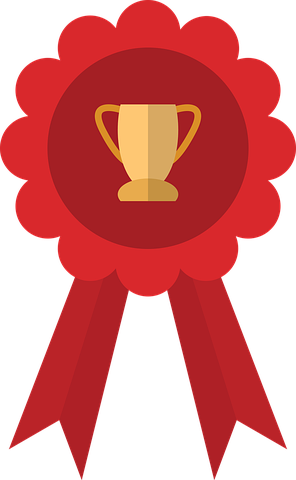Honourable Mention Award = top 5% of all submissions