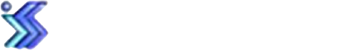 IEICE Information and Systems Society